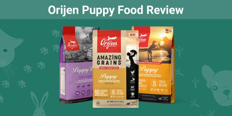 Orijen Puppy Food - Featured Image