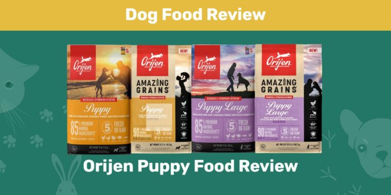 Orijen Puppy Food Review