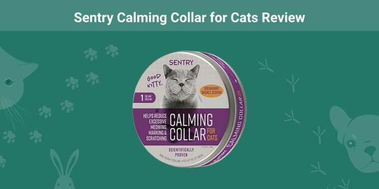 Sentry calming cat collar review
