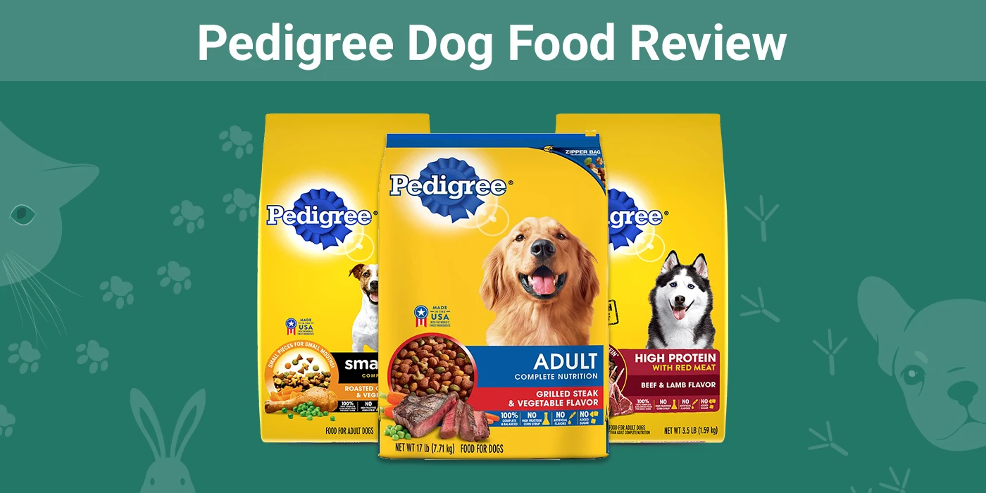 Pedigree Dog Food Review 2024 Recalls, Pros & Cons Pet Keen