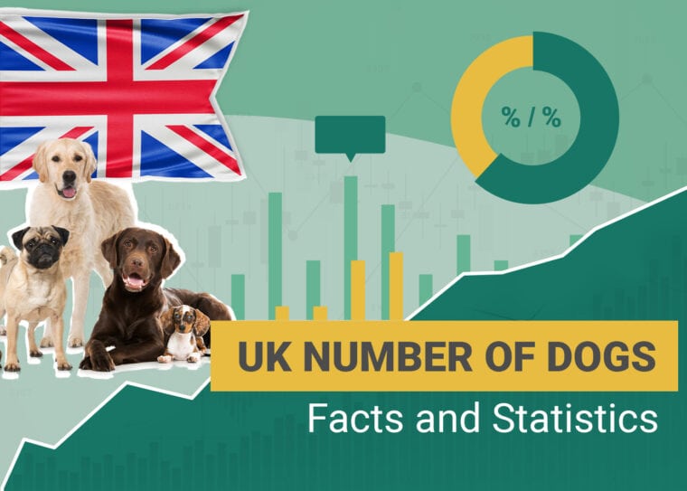 UK Number of Dogs Facts and Statistics