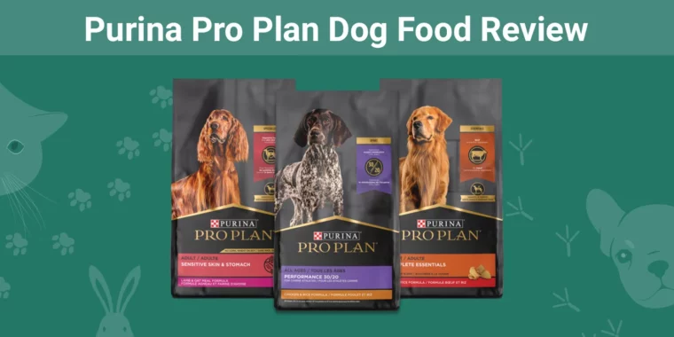 Purina Pro Plan Dog Food - Featured Image
