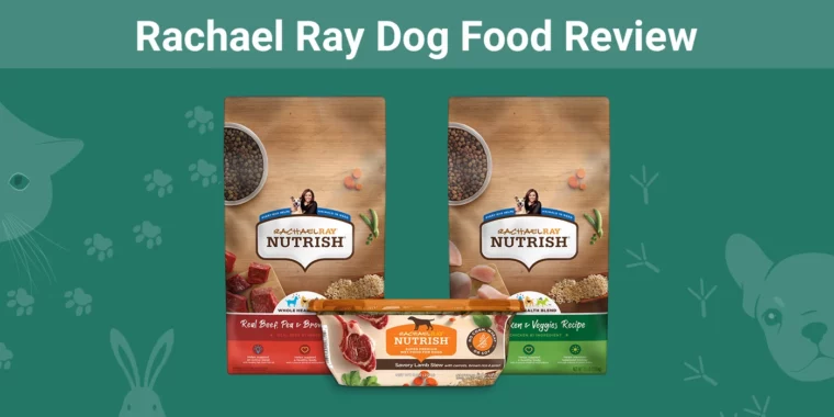 Rachael Ray Dog Food - Featured Image