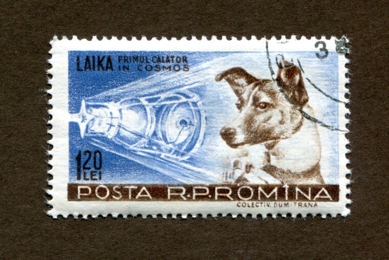 Laika Postal Stamp Romania