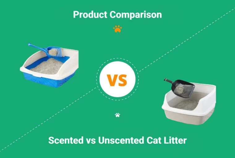 Scented vs Unscented Cat Litter - Featured Image