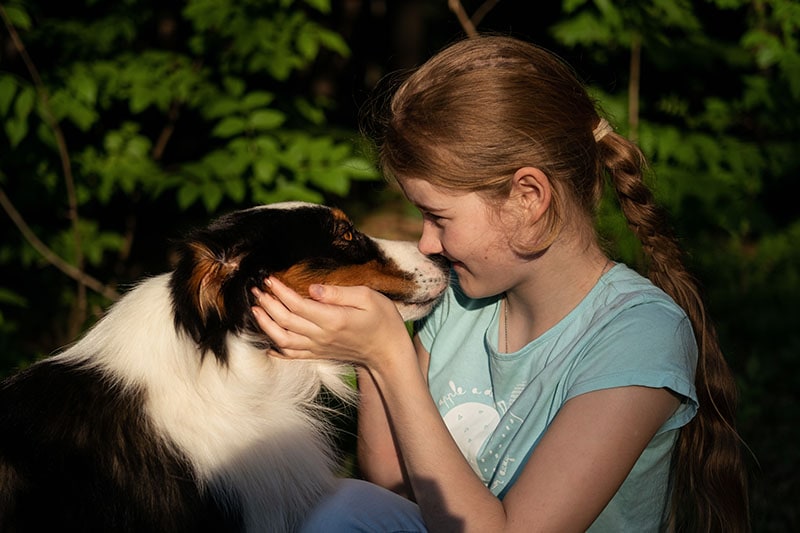 Teenage girl kiss australian shepherd dog in summer. Stand in forest