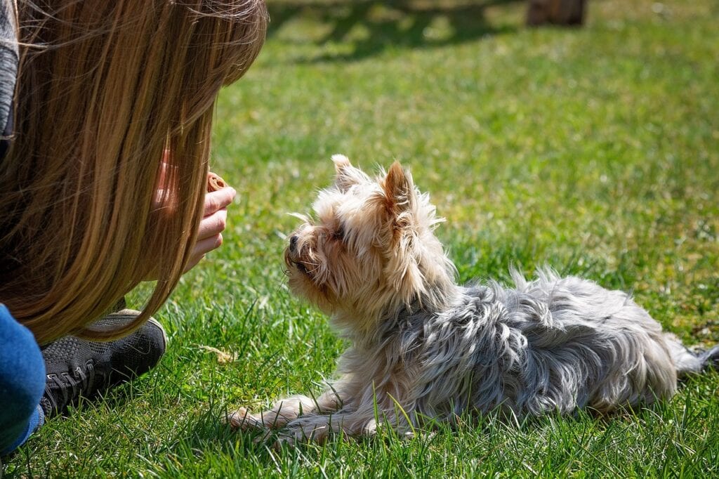Mujer mostrando golosinas a un perro
