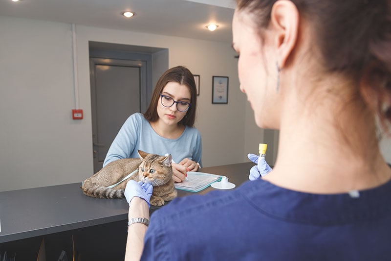 Young woman pet owner signs documents for prescriptions in veterinary clinic