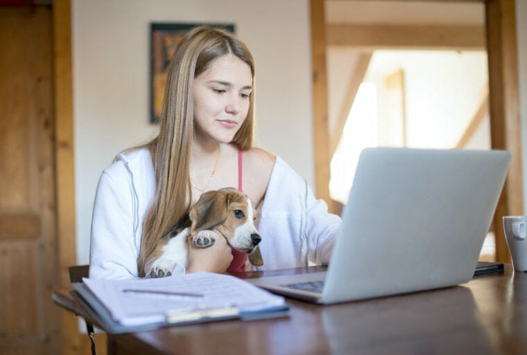 a woman using a laptop with a beagle dog on her lap