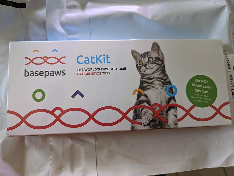 basepaws cat kit