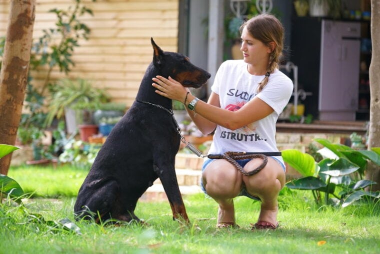 doberman with his owner in the garden