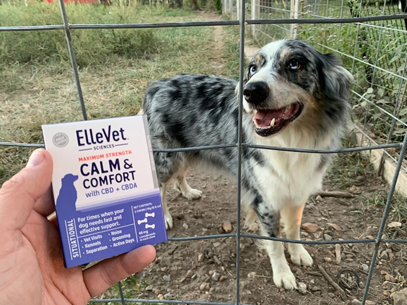 elevet calm and comfort cbd product