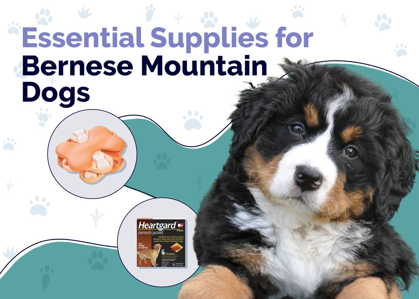 Bernese Mountain Dog Reviews Dog Toys