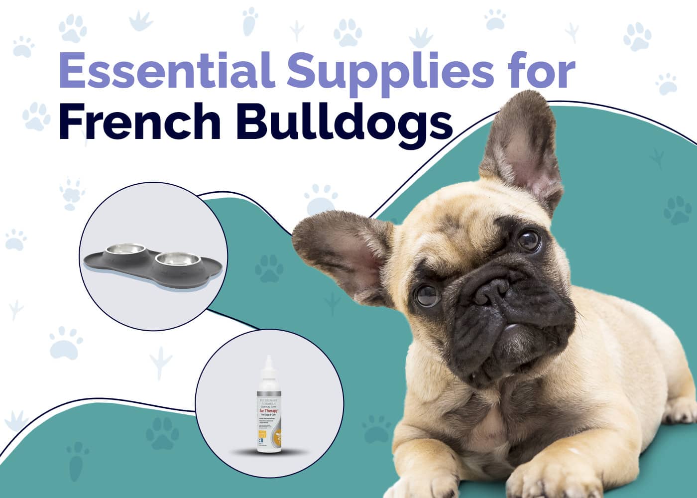 10 Essential French Bulldog Supplies: 2024 Vet-Reviewed Guide | Pet Keen