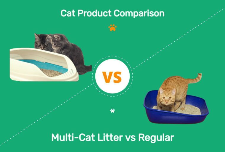 multi cat litter vs regular