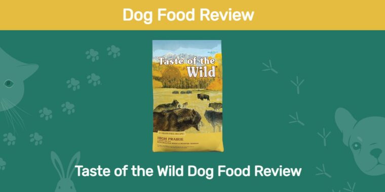 taste of the wild review