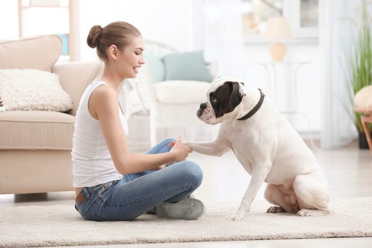 woman owner and her boxer dog at home