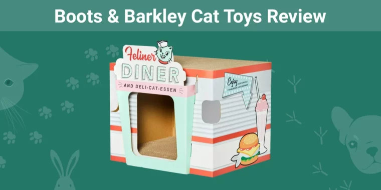 Boots & Barkley Cat Toys - Featured Image