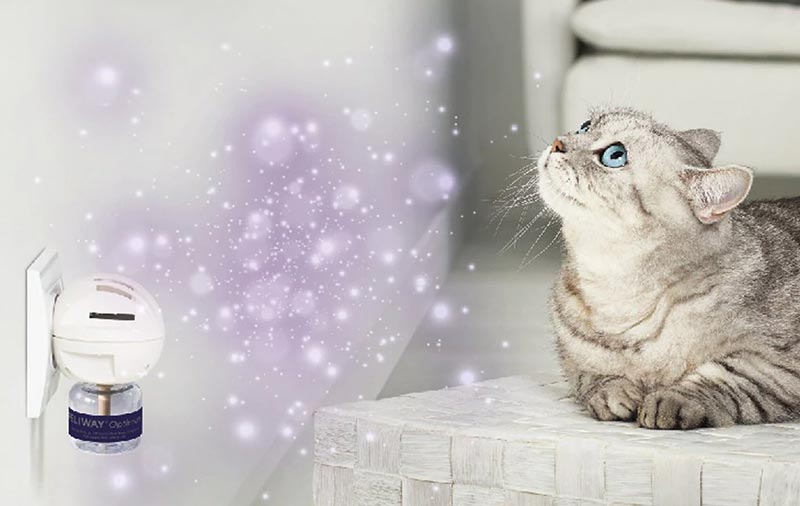 Feliway Optimum Enhanced Pheromone Calming Pheromone Repuesto para difusor de 30 días para gatos
