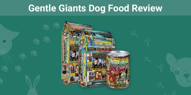 Gentle Giants Dog Food - Featured Image