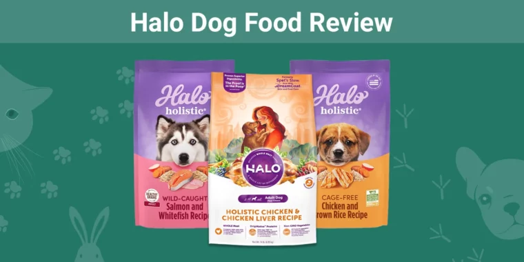 Halo Dog Food - Featured Image