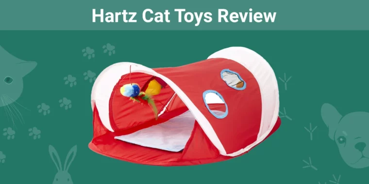 Hartz Cat Toys - Featured Image