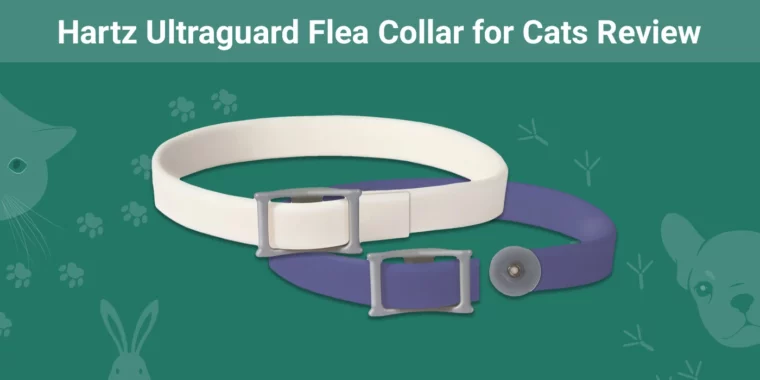 Hartz Ultraguard Flea Collar for Cats - Featured Image