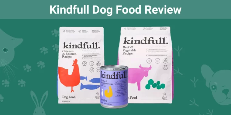 Kindfull Dog Food - Featured Image