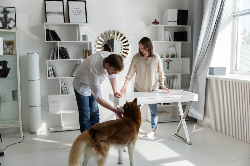 man petting his husky dog in a home office