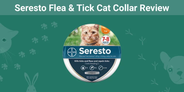 Seresto Flea & Tick Cat Collar - Featured Image