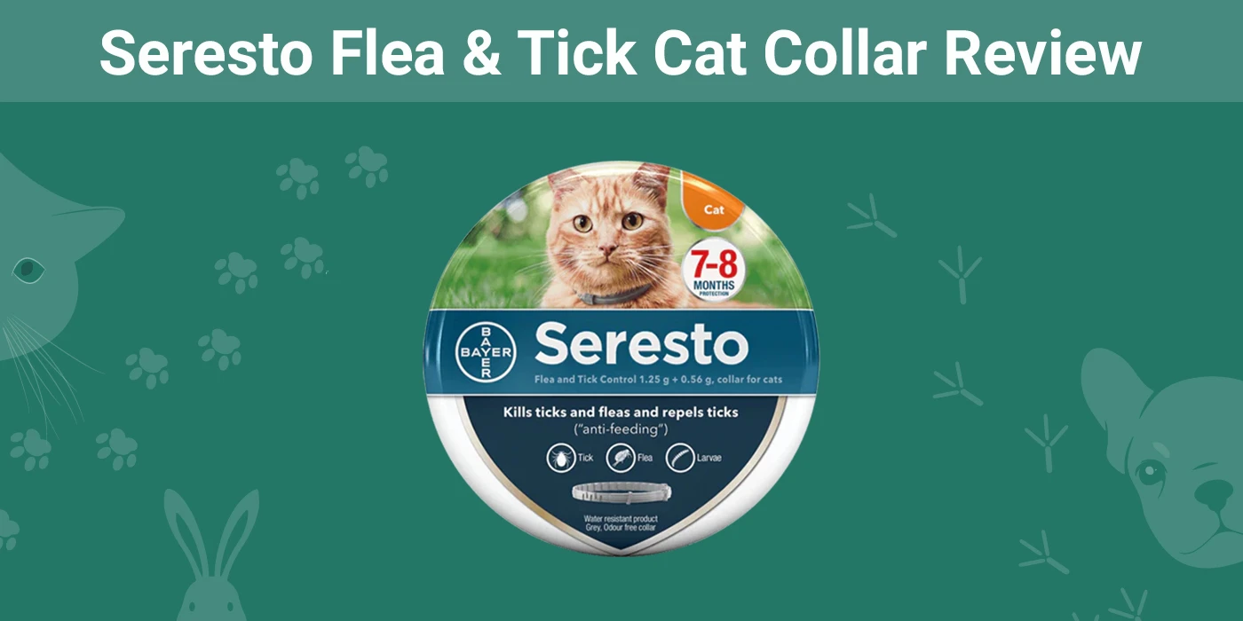 Seresto Flea & Tick Cat Collar Review 2024 Pros, Cons, & Verdict Pet