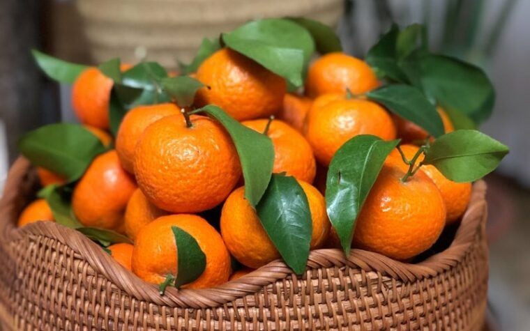 a basket of Mandarin oranges