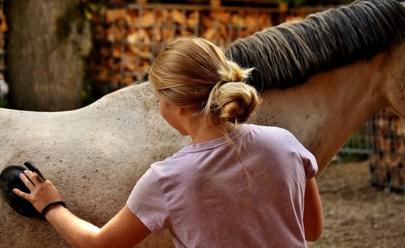 a woman grooming a horse