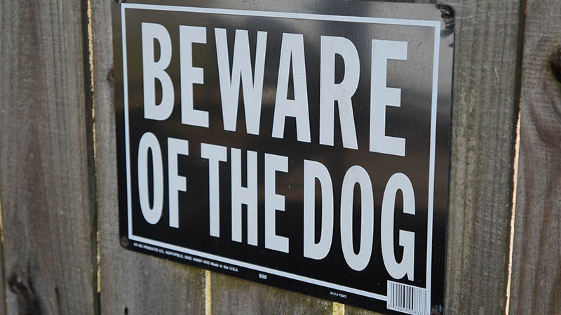 beware of the dog sign