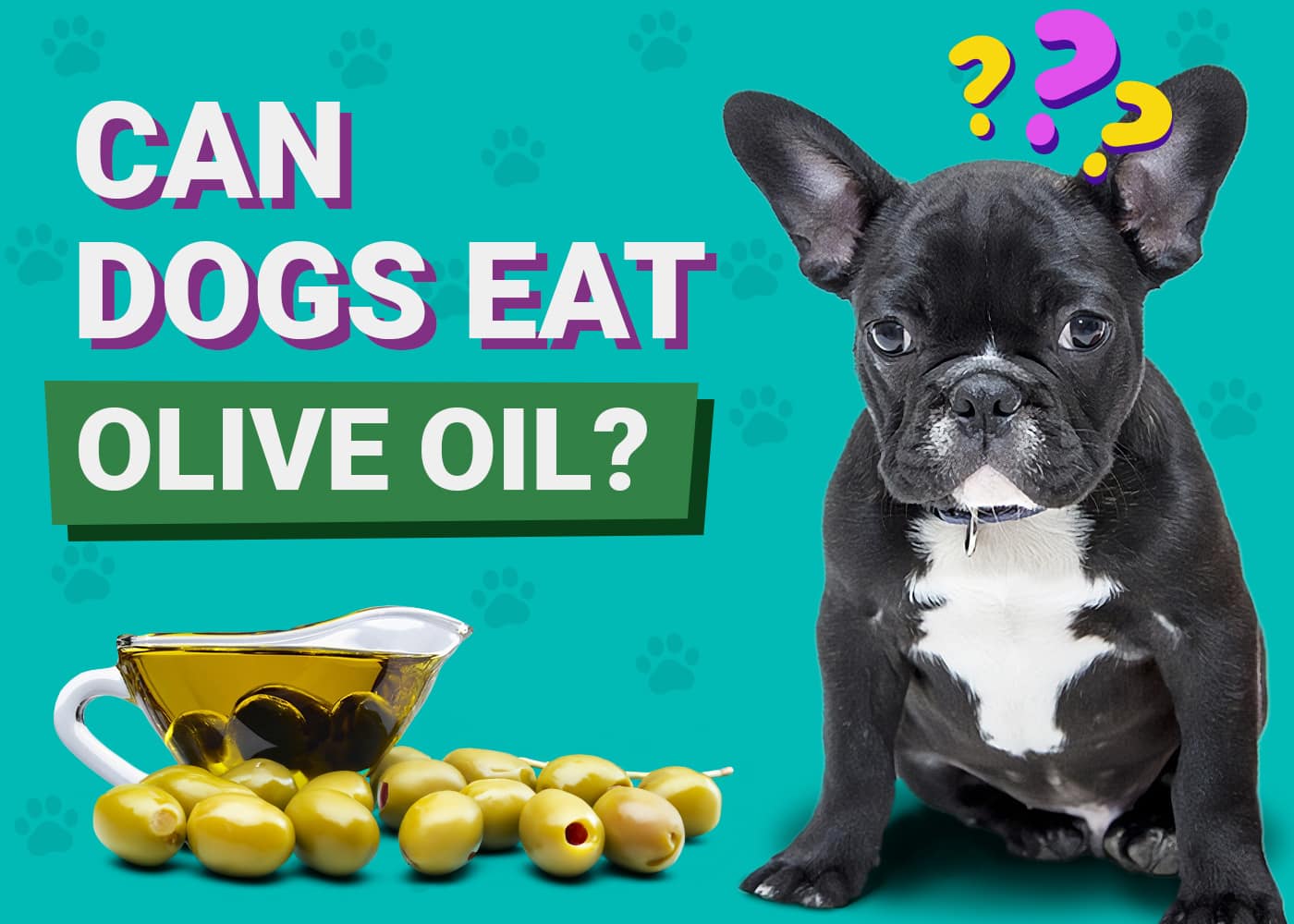 Can Dogs Eat Olive Oil Vet Explained Benefits And Risks Pet Keen