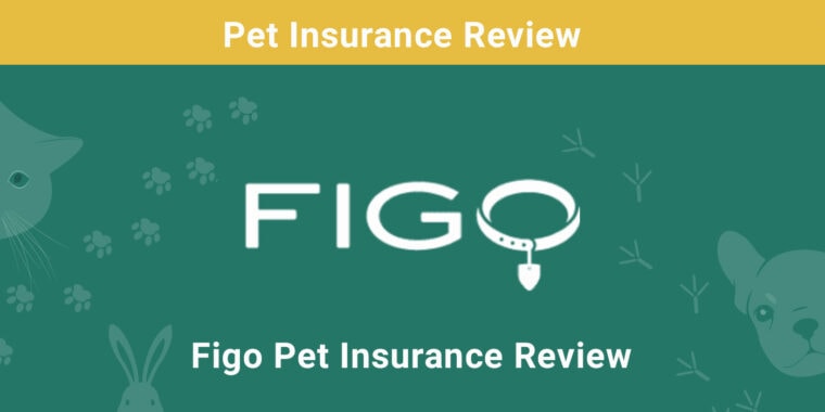 figo pet insurance review