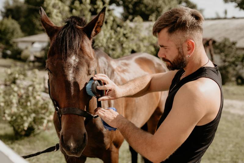 guy brushing his horse on the face