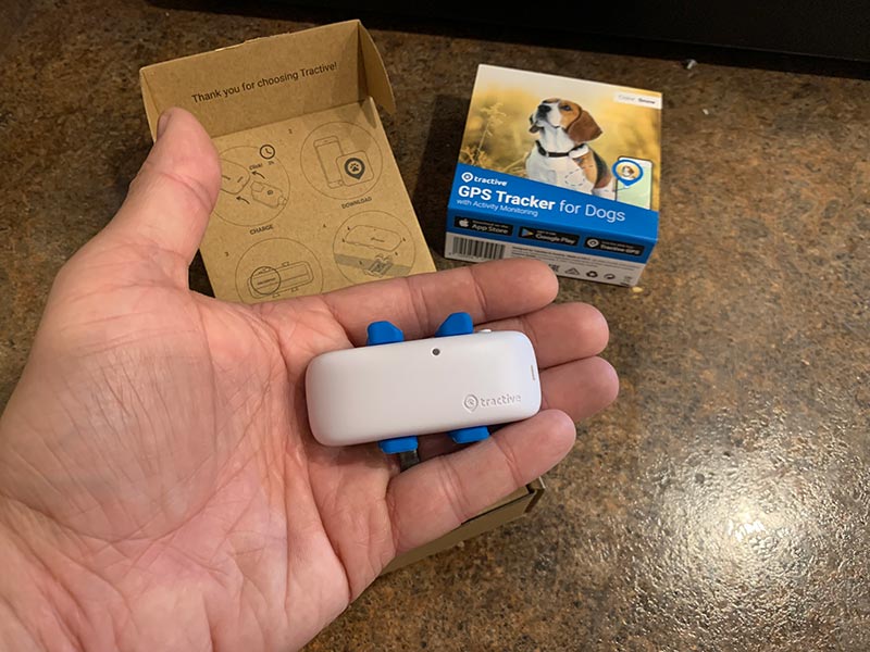 hand holding the tractive dog gps tracker