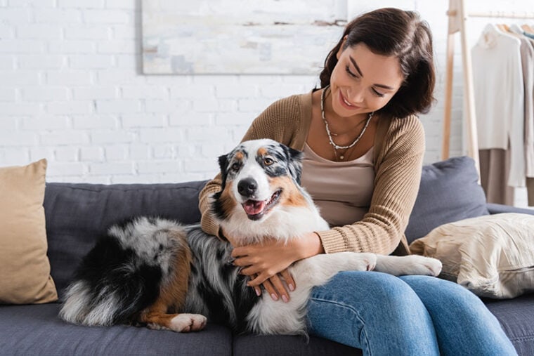 joven feliz abrazando al perro pastor australiano mientras se sienta en el sofá