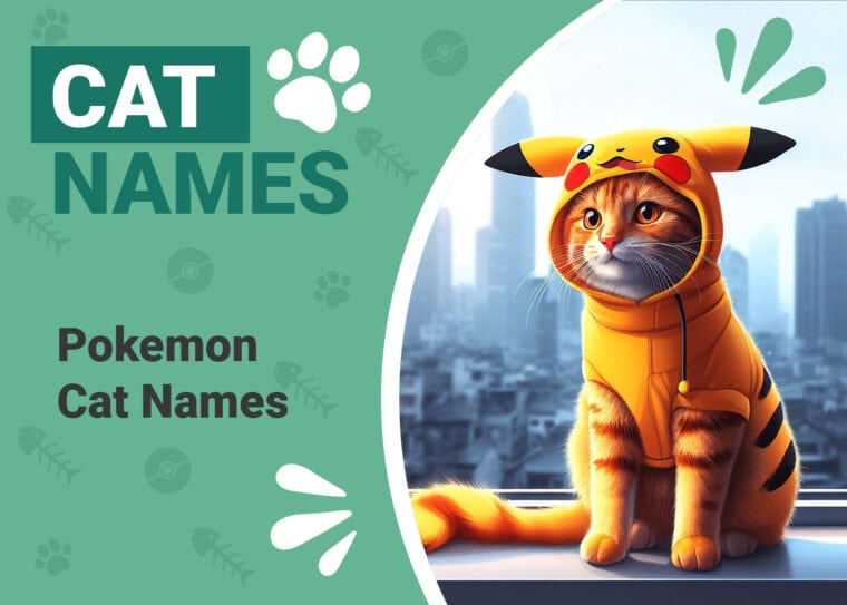 Pokemon Cat Names