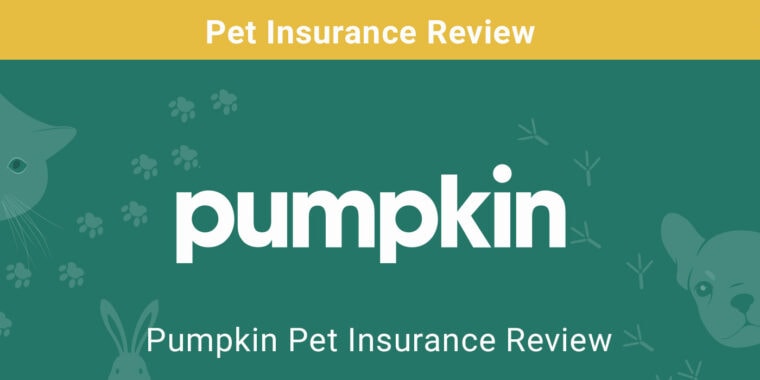 pumpkin insurance review