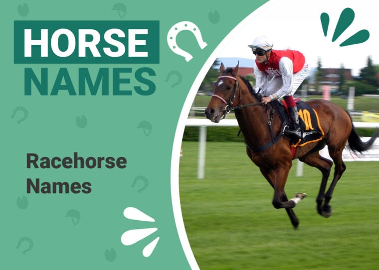 Racehorse Names