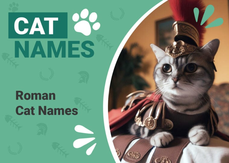 Popular Roman Cat Names