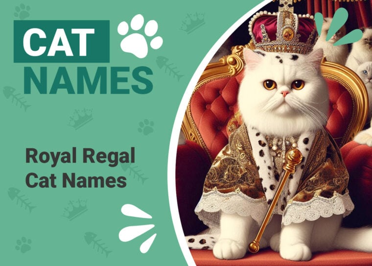 Royal & Regal Cat Names