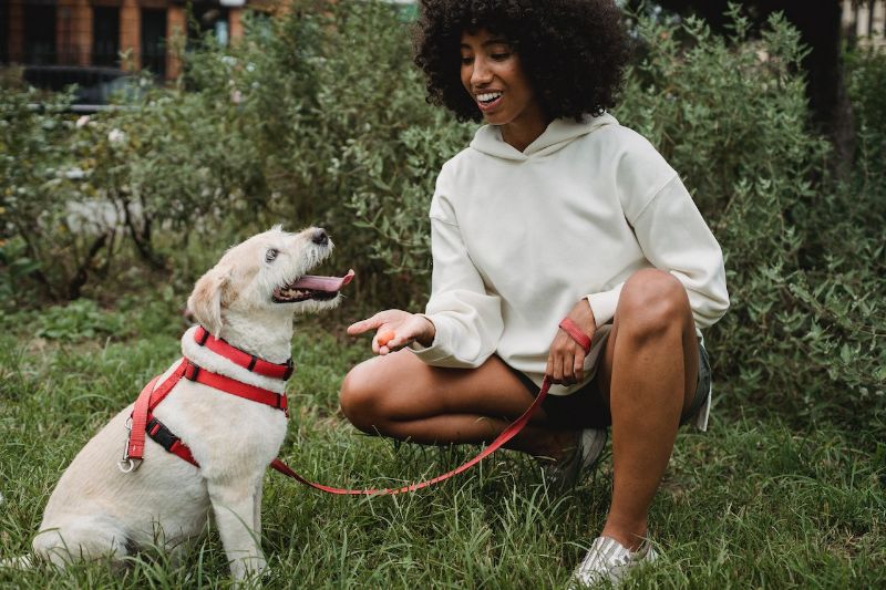 mujer negra sonriente entrenando perro al aire libre