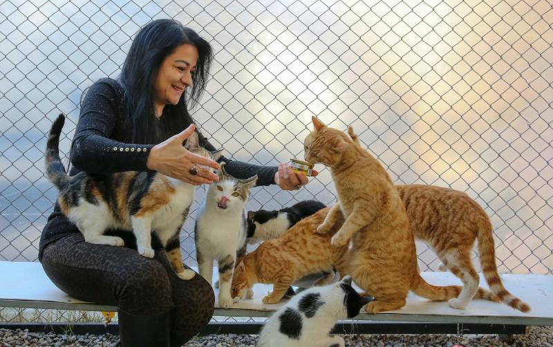 smiling woman feeding stray cats outdoors