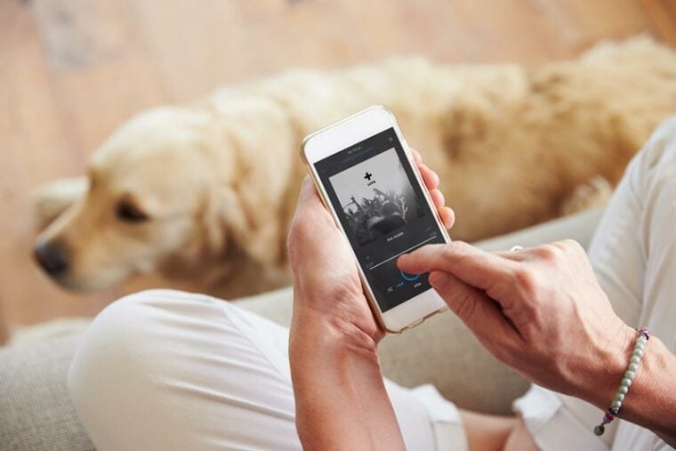 woman listening to a music with her dog at home