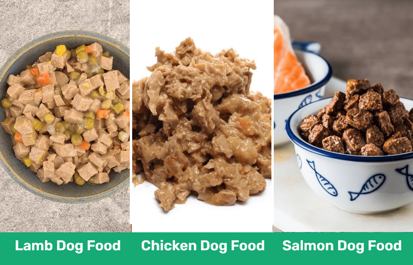 is chicken or salmon better for dogs