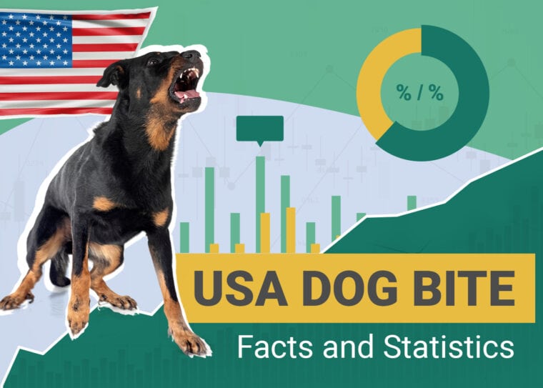 Dog Bite Statistics USA