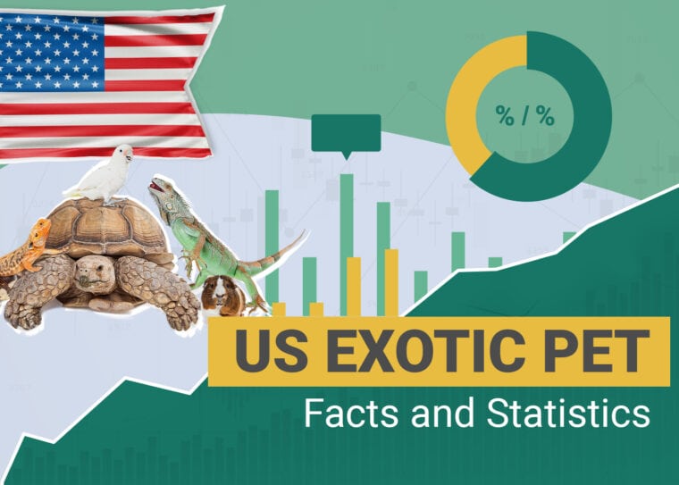 Exotic Pet Statistics USA